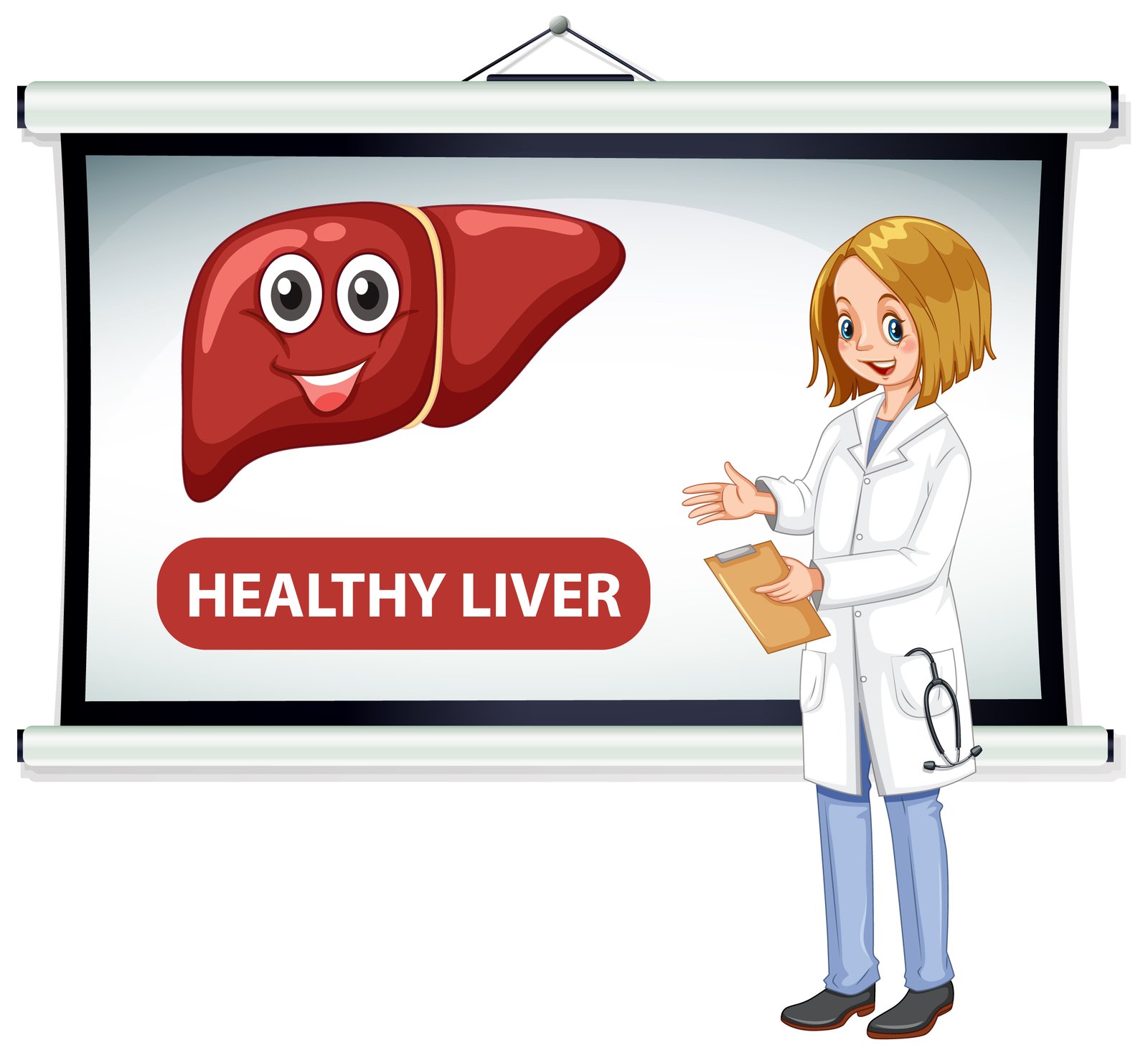 Understanding Liver Health: Key Factors for Maintaining a Healthy Liver